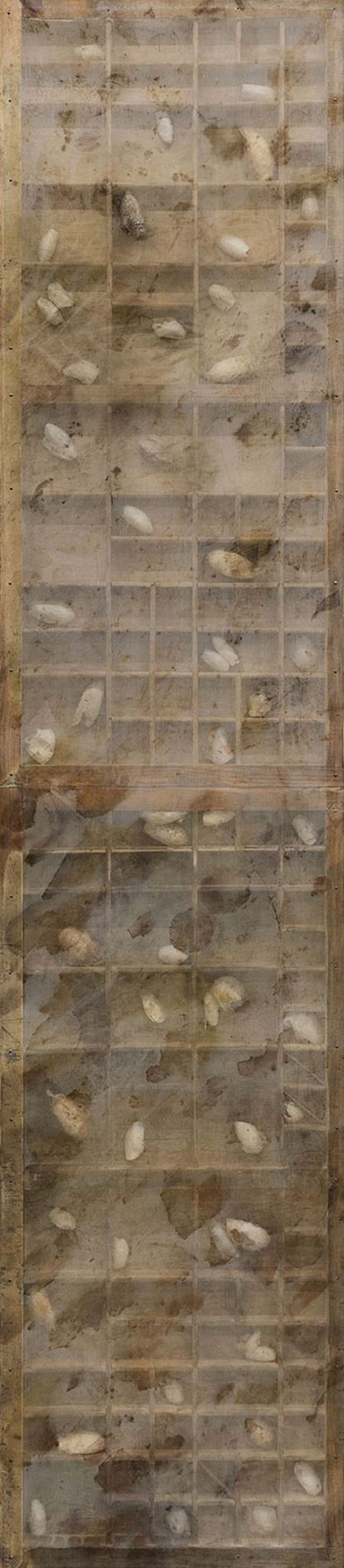 Mónica Mays, Shadow box